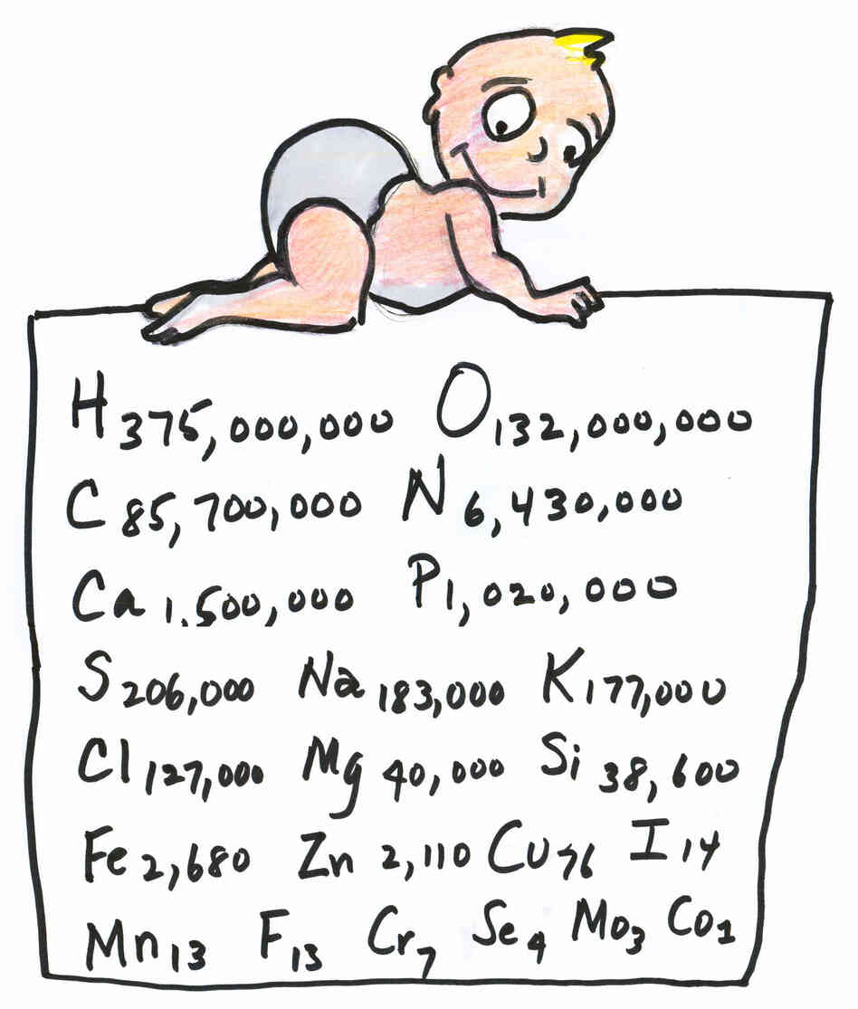 Human Chemistry Human Chemistry