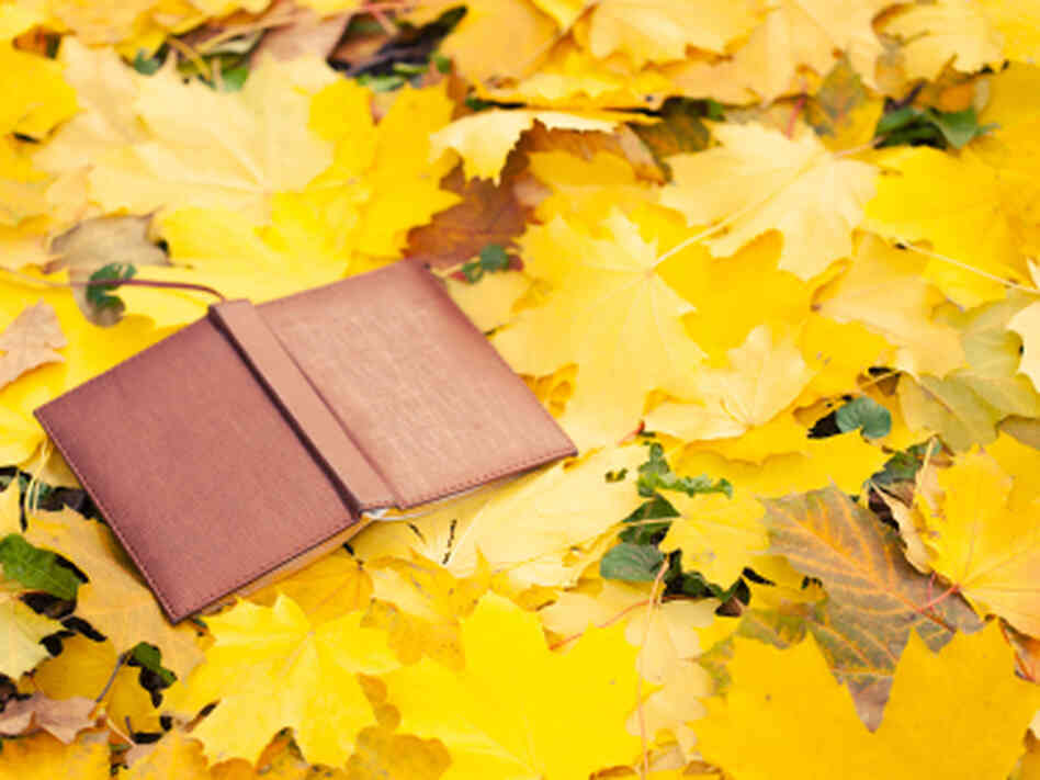 opened book lying in yellow leaves opened book lying in yellow leaves