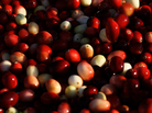 Cranberries Cranberries