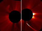 A view from NASA shows the Comet ISON streaming toward the sun (right) then emerging from the other side, dimmed. A view from NASA shows the Comet ISON streaming toward the sun (right) then emerging from the other side, dimmed.