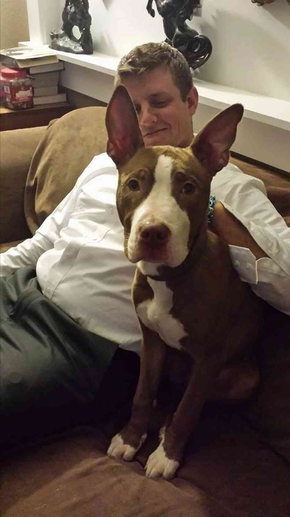 Man, Dog Reunited 9 Days After Tornado Flattened Ill. Town - NPR (blog) Man, Dog Reunited 9 Days After Tornado Flattened Ill. Town - NPR (blog)