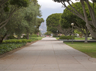 Administrators at University of California, Santa Barbara are encouraging fraternities and sororities to hold off on parties. Administrators at University of California, Santa Barbara are encouraging fraternities and sororities to hold off on parties.