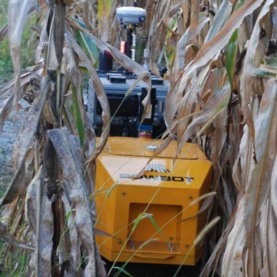Rowbot is designed to fit in between the rows of crops. Moving up and down each row, a fleet of 20 bots could fertilize and monitor the corn crops during the growing season. Rowbot is designed to fit in between the rows of crops. Moving up and down each row, a fleet of 20 bots could fertilize and monitor the corn crops during the growing season.