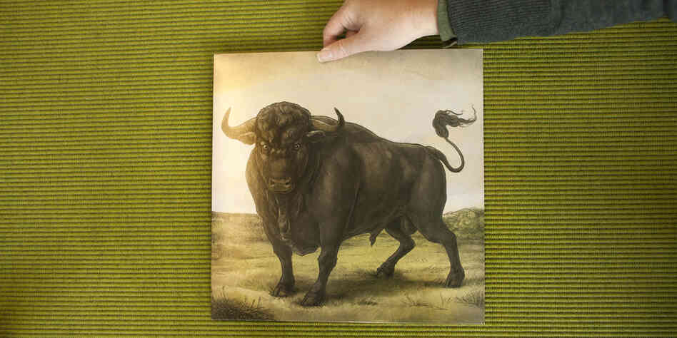 San Fermin's San Fermin. San Fermin's San Fermin.