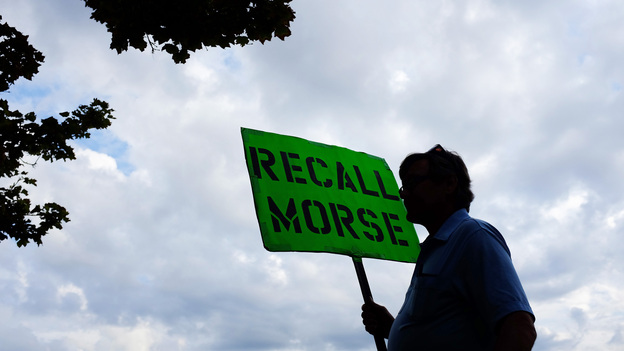 A man holds a sign advocating the recall of state Sen. John Morse in Colorado Springs, Colo., in September. Morse and a second state senator who backed the state's new gun control measures were recalled during a special election that month. (Image credit: Landov)