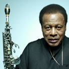 Wayne Shorter. Wayne Shorter.