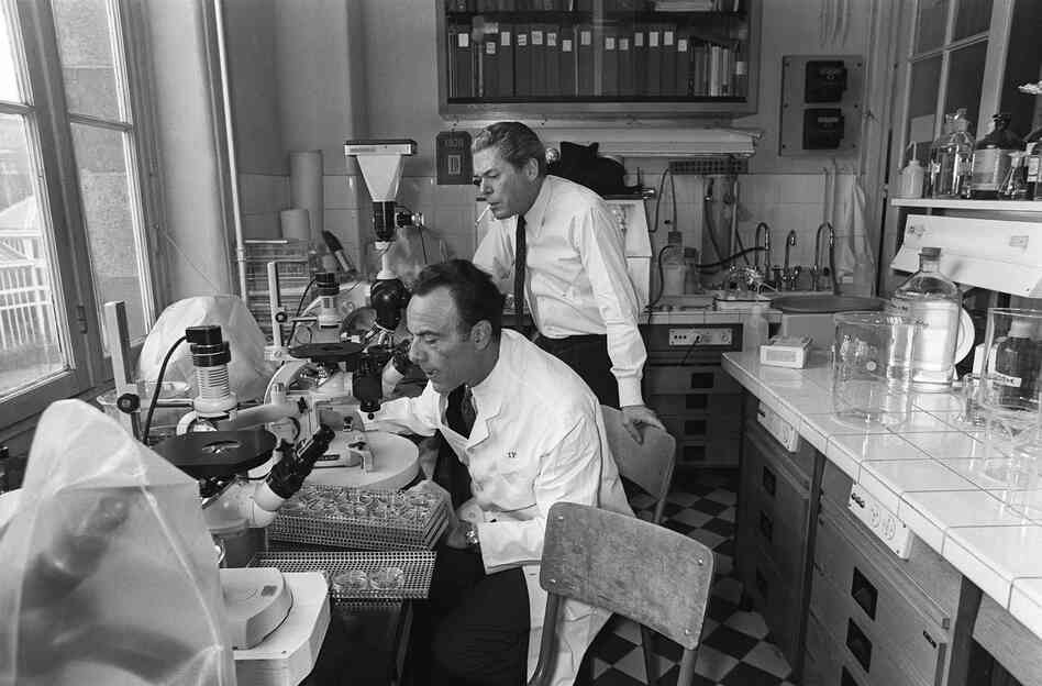 French biologists Jacques Monod (right) and Francois Jacob work in their laboratory at the Institut Pasteur in Paris in 1971. Jacob died in April at age 92. French biologists Jacques Monod (right) and Francois Jacob work in their laboratory at the Institut Pasteur in Paris in 1971. Jacob died in April at age 92.