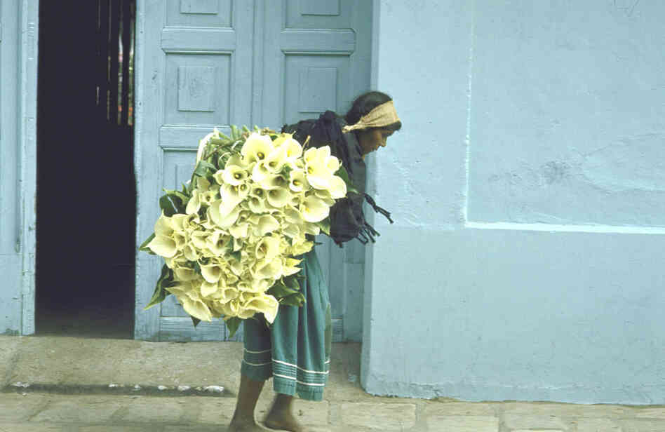 Girl with cala lilies, Mexico, 1951