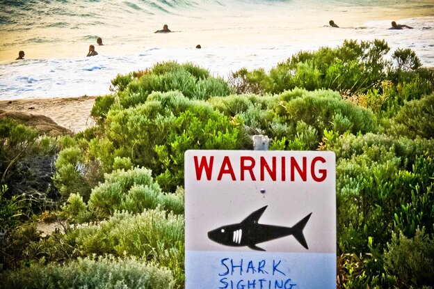 A shark warning is displayed near Gracetown, Western Australia, in November. An Australian man was killed by a shark near the area that month, sparking a catch-and-kill order.