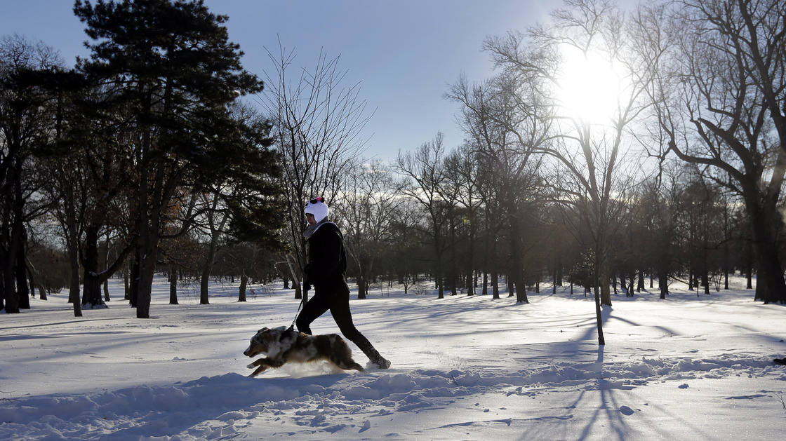 Courtney Martin jogs through the snow with her dog, Theodore, in St. Louis. Missourians and their pets muddled through another frigid day Tuesday.