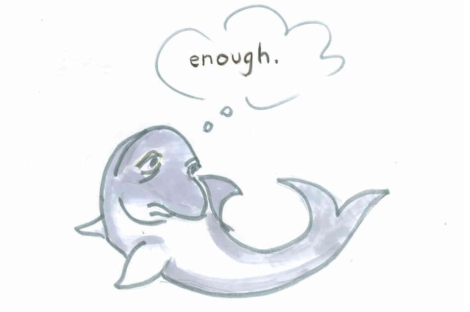 Dolphin says, "Enough." Dolphin says, "Enough."