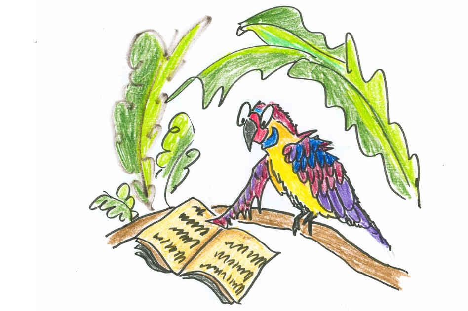 An intelligent parrot enjoys a book. An intelligent parrot enjoys a book.