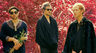 Unknown Mortal Orchestra. Unknown Mortal Orchestra.