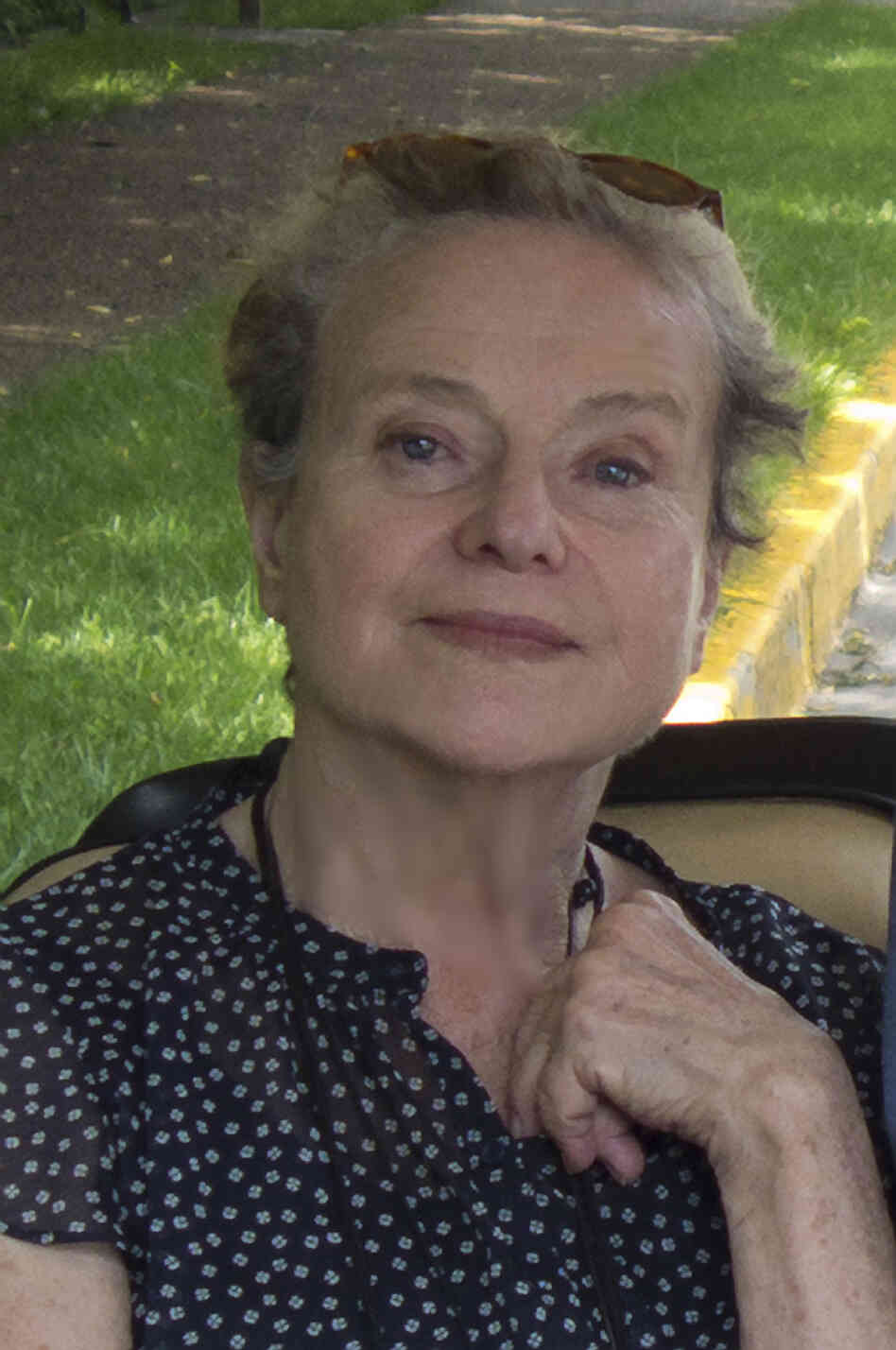 Diane Johnson's previous books include Le Divorce, Le Mariage, and L'Affaire. Diane Johnson's previous books include Le Divorce, Le Mariage, and L'Affaire.
