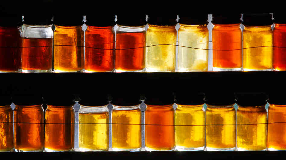 It's All Grade A Now: Different grades of maple syrup are displayed in East Montpelier, Vt. It's All Grade A Now: Different grades of maple syrup are displayed in East Montpelier, Vt.