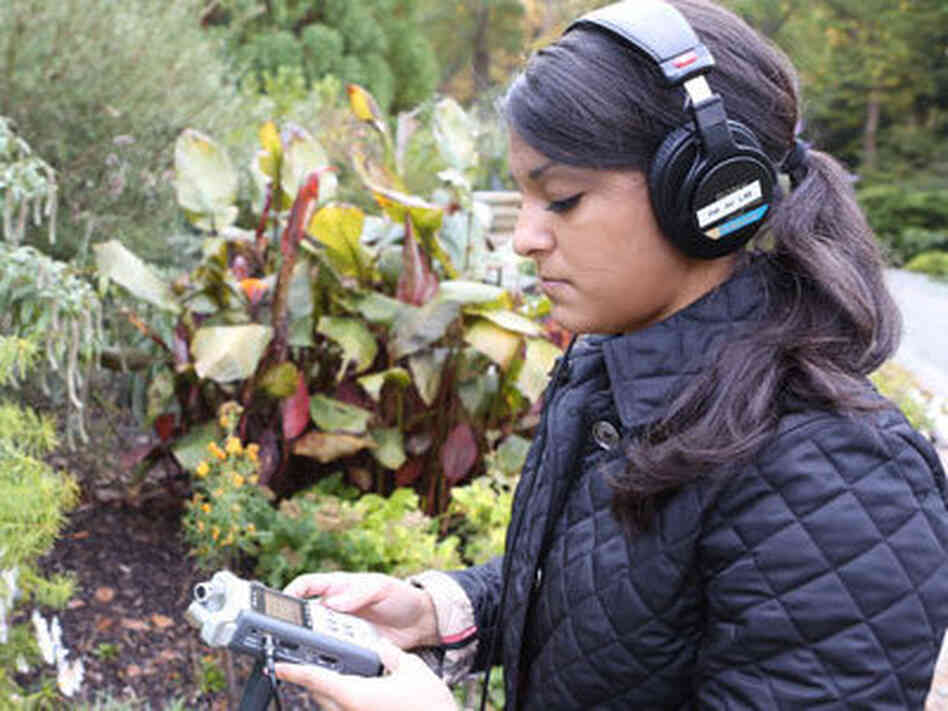 Brooke Watson of Duke University gathers sound for the Sonic Dictionary. Brooke Watson of Duke University gathers sound for the Sonic Dictionary.