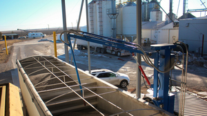 A robotic arm at Clarkson Grain takes a sample of blue corn to be tested for GMOs.