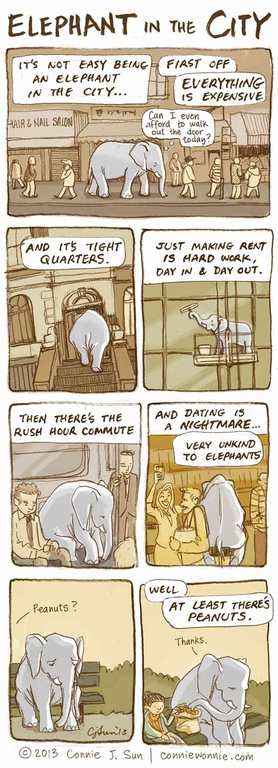 Elephant in the City Elephant in the City