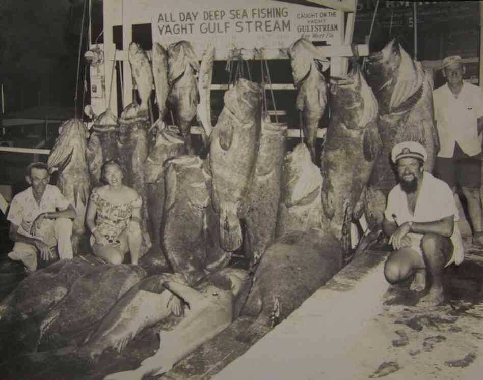 Fishing pride circa April 1957 — several "Big Ones" were nearly as large as the men who caught them. Fishing pride circa April 1957 — several "Big Ones" were nearly as large as the men who caught them.
