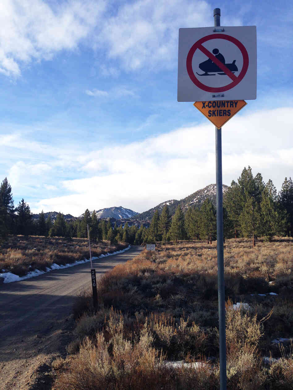 A cross-country ski trail, with no snow, outside Mammoth Lakes, Calif. A cross-country ski trail, with no snow, outside Mammoth Lakes, Calif.