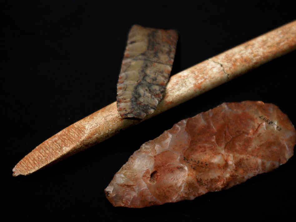 Until recently, finding characteristic stone and bone tools was the only way to trace the fate of the Clovis people, whose culture appeared in North America about 13,000 years ago. Until recently, finding characteristic stone and bone tools was the only way to trace the fate of the Clovis people, whose culture appeared in North America about 13,000 years ago.