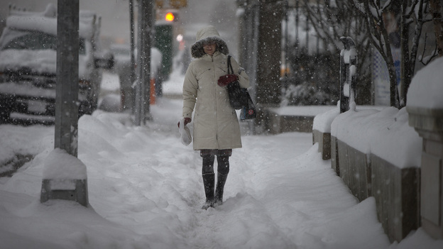 Snow was piling up along Manhattan's Fifth Avenue early Thursday morning. (Reuters/Landov)