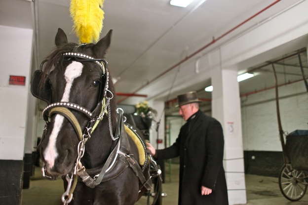 Stephen Malone, spokesman for the Horse and Carriage Association, gets his rig ready in New York City. Some say horse-drawn carriages are inhumane; if the mayor has his way, the practice will end. (Image credit: WNYC)