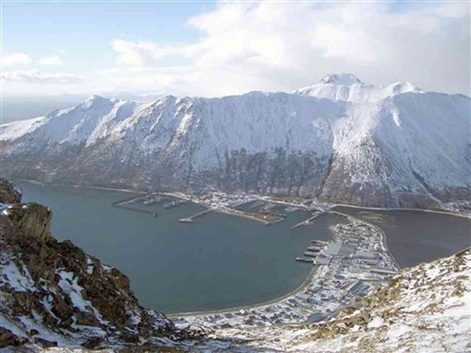 The Alaska village of King Cove wants an all-weather road to the outside world. Election-year politics is complicating that wish. The Alaska village of King Cove wants an all-weather road to the outside world. Election-year politics is complicating that wish.