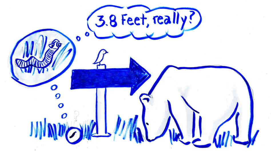 It's one thing for a bear or other large animal to move into cooler climes as the Earth warms. An earthworm has a tougher time migrating. It's one thing for a bear or other large animal to move into cooler climes as the Earth warms. An earthworm has a tougher time migrating.