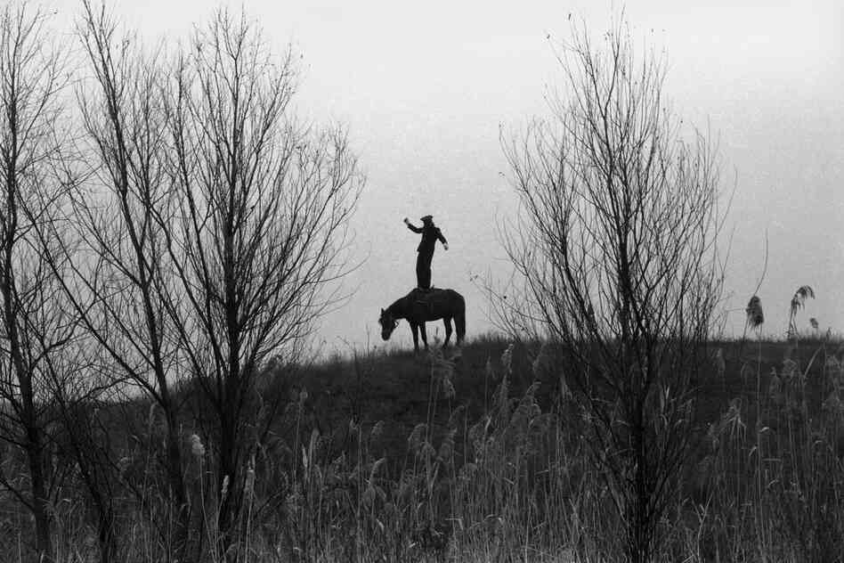 A Cossack practices tricks on his horse in the Rostov region near Russia's border with Ukraine in 2010. A Cossack practices tricks on his horse in the Rostov region near Russia's border with Ukraine in 2010.