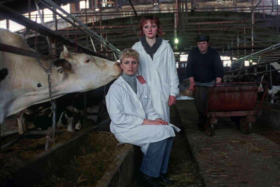Marina, an insemination technician, and Lyuba, a milkmaid, pose for a portrait on a dairy farm south of St. Petersburg, near the road to Moscow. Marina, an insemination technician, and Lyuba, a milkmaid, pose for a portrait on a dairy farm south of St. Petersburg, near the road to Moscow.