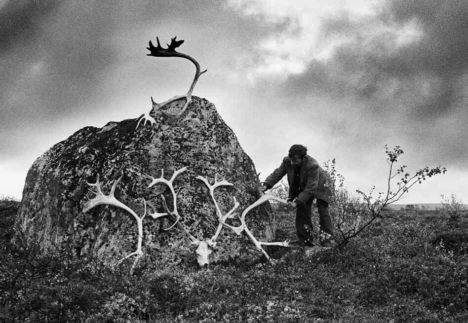 A man places reindeer antlers on a shrine in the Murmansk region, a peninsula in the Arctic north of St. Petersburg where he and others keep herds of reindeer. A man places reindeer antlers on a shrine in the Murmansk region, a peninsula in the Arctic north of St. Petersburg where he and others keep herds of reindeer.