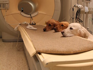 We heard there's a neuroscience experiment happening. Where do we sign up?