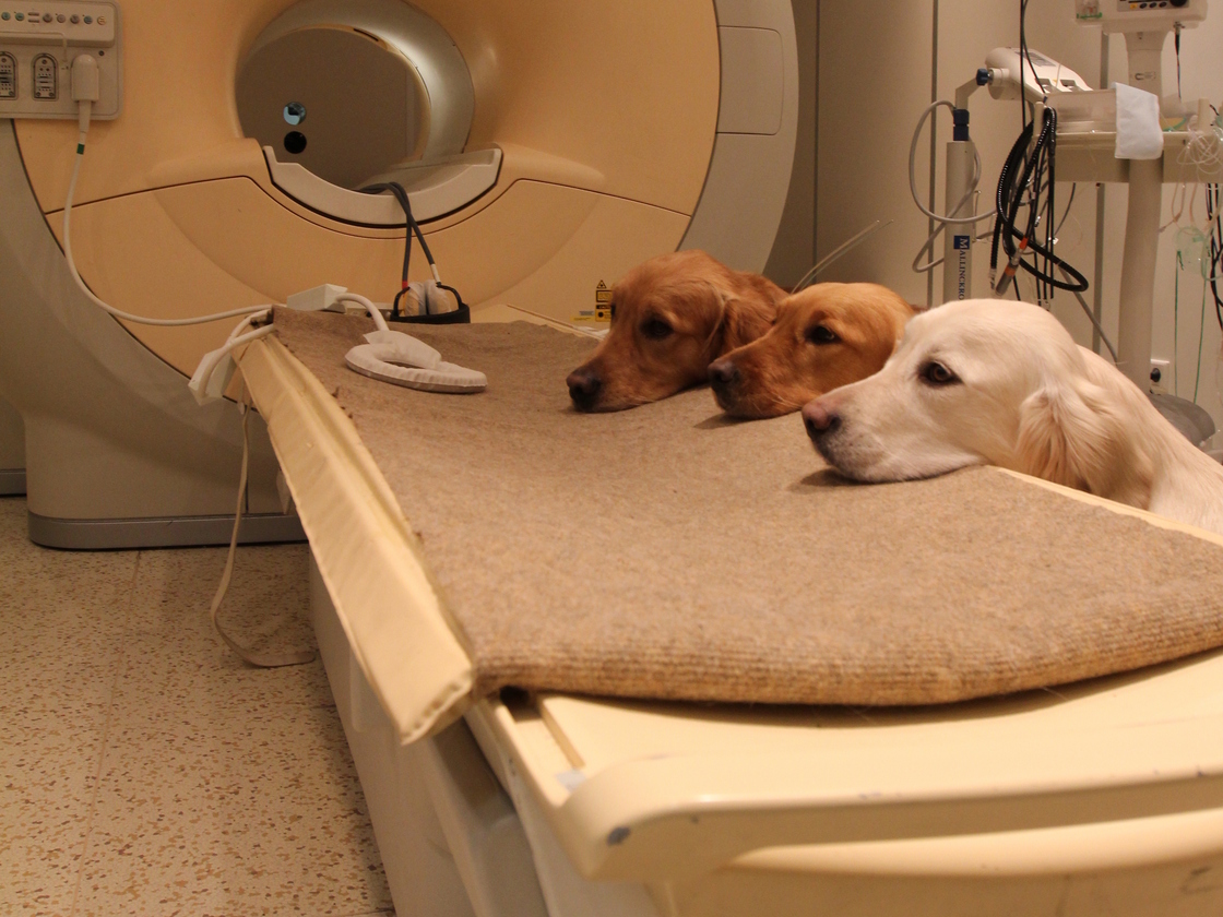 We heard there's a neuroscience experiment happening. Where do we sign up?