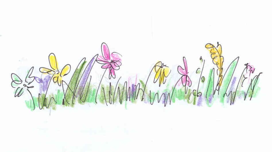 A row of flowers A row of flowers