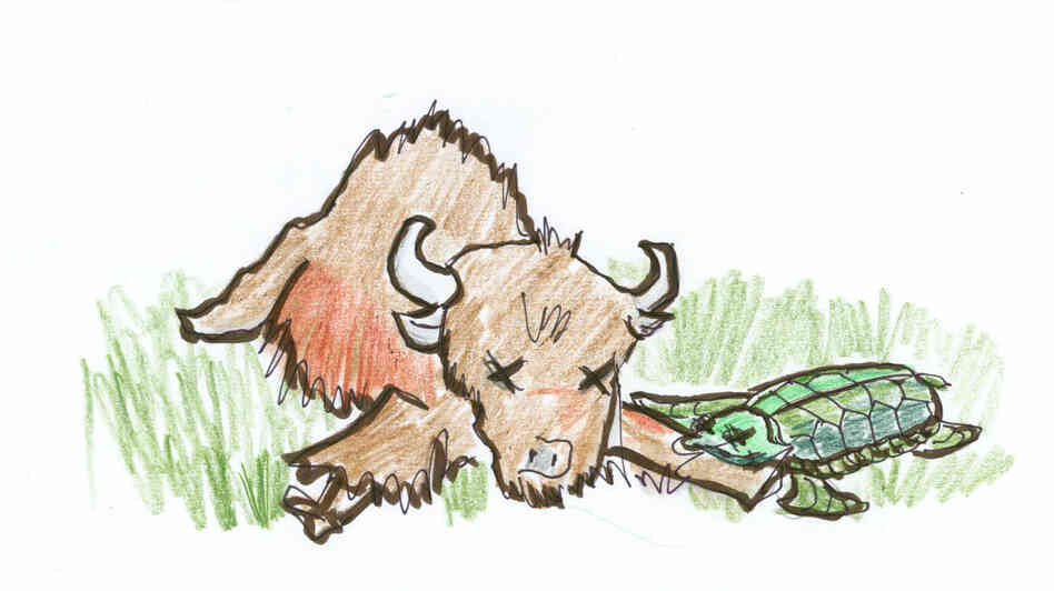 3. Dead buffalo and tortoise. 3. Dead buffalo and tortoise.