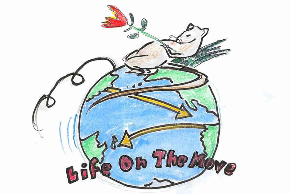 4. "Life on the Move" 4. "Life on the Move"