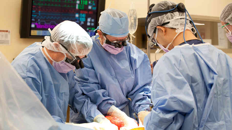 Dr. Majella Doyle (center) performs a transplant recovery at Mid-America Transplant Services' operating room in St. Louis. Dr. Majella Doyle (center) performs a transplant recovery at Mid-America Transplant Services' operating room in St. Louis.