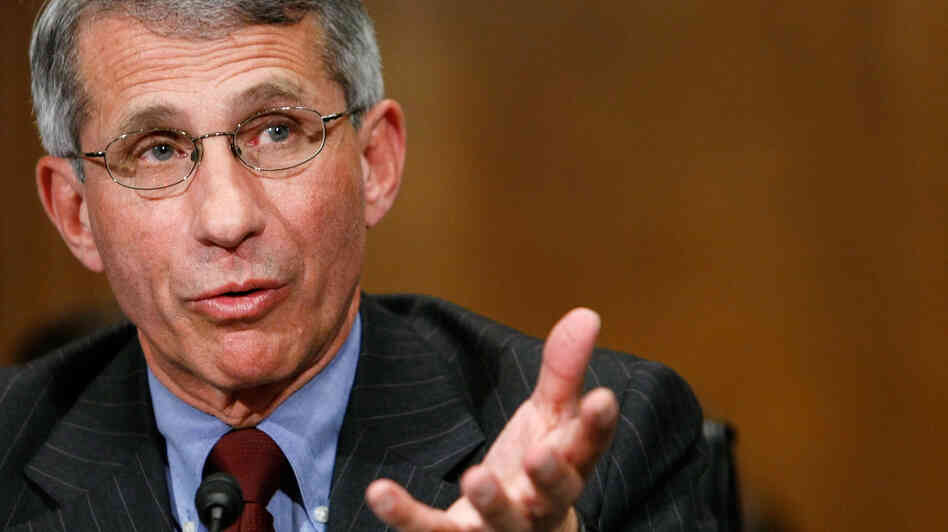 While not conclusive, the two cases are "quite promising," says Anthony Fauci, a longtime AIDS researcher who directs the National Institute of Allergy and Infectious Diseases. While not conclusive, the two cases are "quite promising," says Anthony Fauci, a longtime AIDS researcher who directs the National Institute of Allergy and Infectious Diseases.