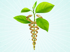 detail from cover of Reinventing American Healthcare detail from cover of Reinventing American Healthcare