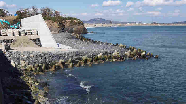 In Tsunami's Wake, Fierce Debate Over Japan's 'Great Wall' In Tsunami's Wake, Fierce Debate Over Japan's 'Great Wall'