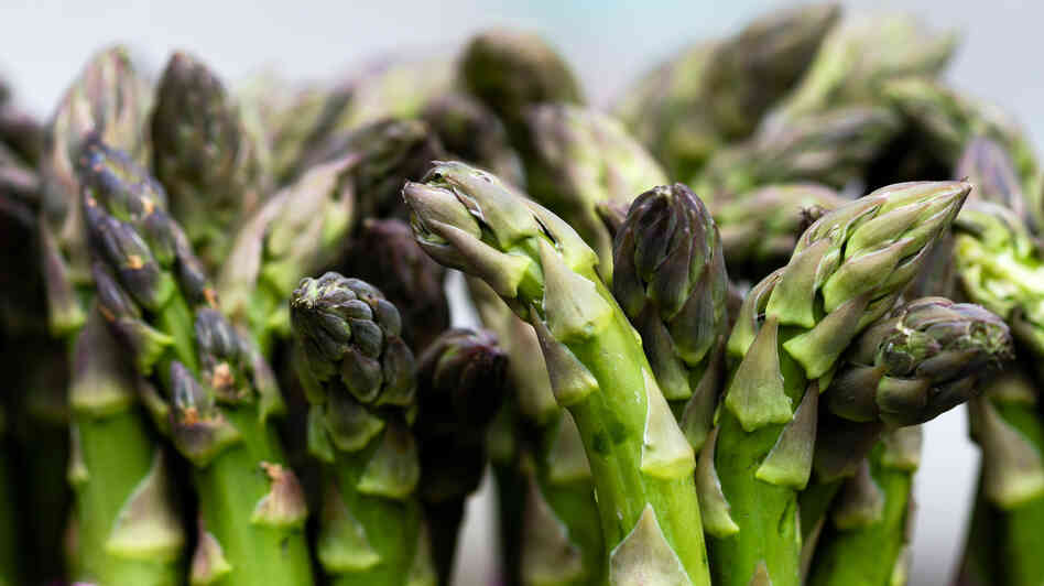 From the botanical to the economic, spring's iconic vegetable still harbors surprises. From the botanical to the economic, spring's iconic vegetable still harbors surprises.