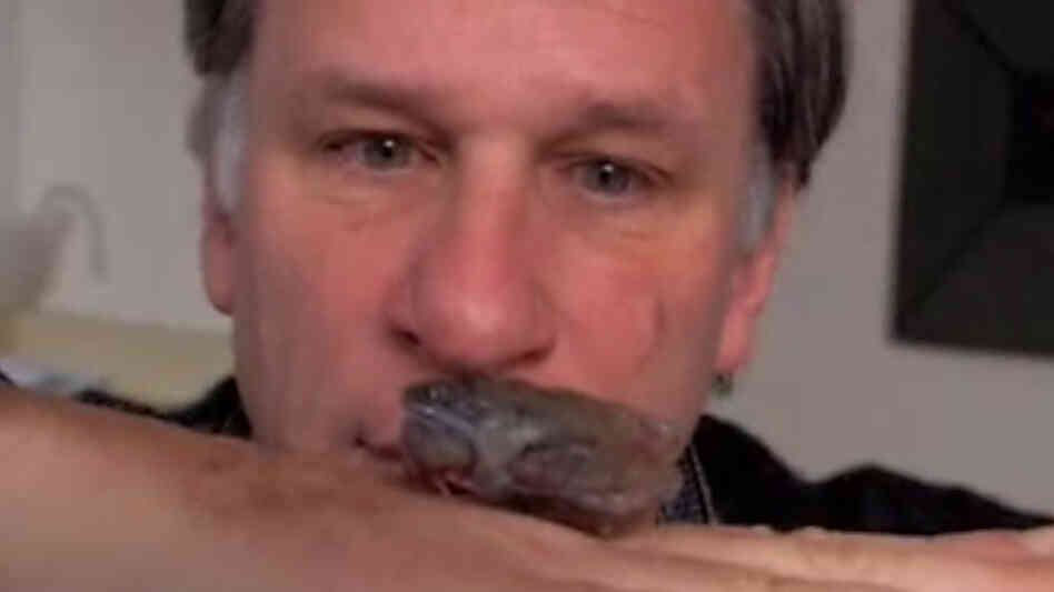Robert Krulwich stares at a frozen frog. Robert Krulwich stares at a frozen frog.