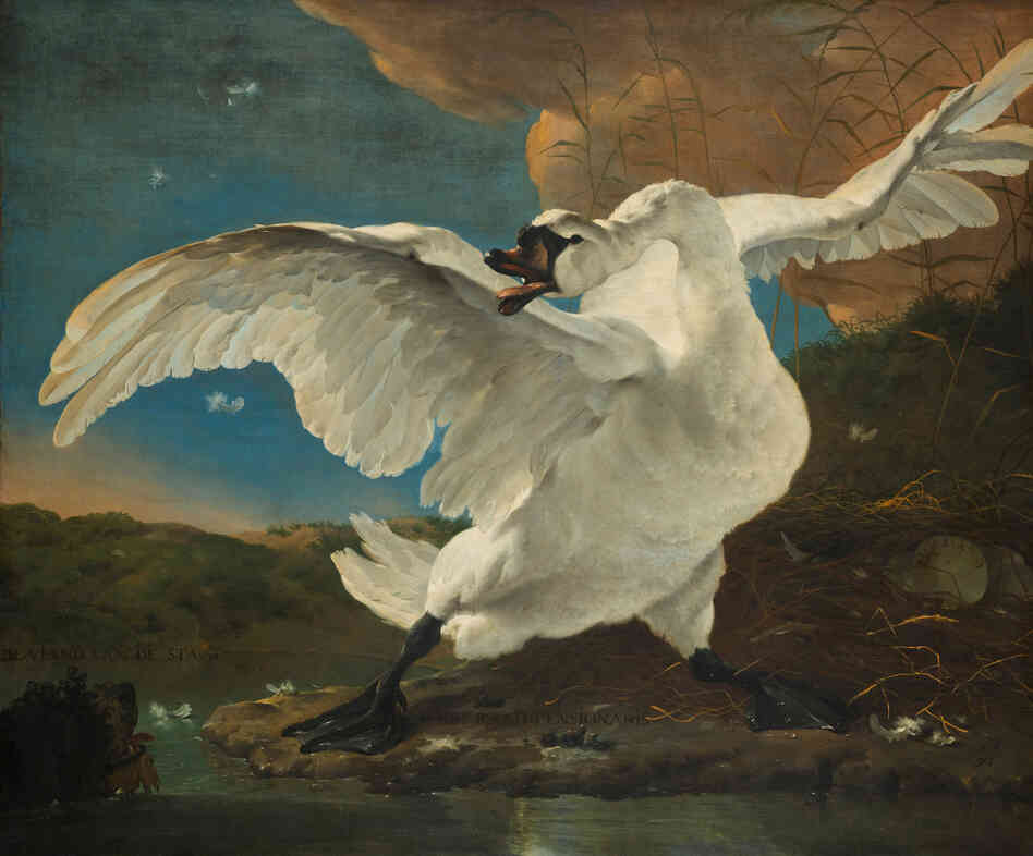The Threatened Swan, from the collection of the Rijksmuseum in Amsterdam. The Threatened Swan, from the collection of the Rijksmuseum in Amsterdam.