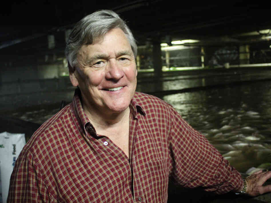 Bill Martin, president of Blue Ridge Aquaculture, in his company's tilapia-growing room. Bill Martin, president of Blue Ridge Aquaculture, in his company's tilapia-growing room.