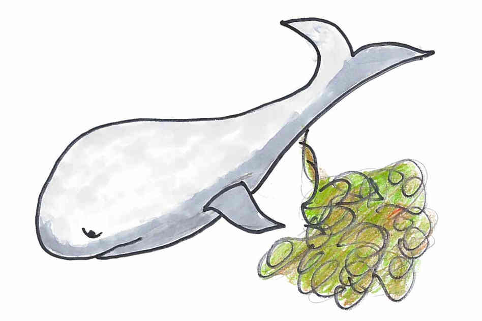Whales poop mightily. Whales poop mightily.
