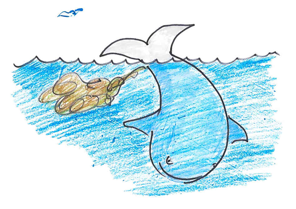 Pooping near the ocean surface can lead to a bigger dinner for whales. Pooping near the ocean surface can lead to a bigger dinner for whales.