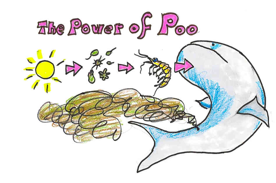 The power of poop The power of poop