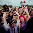 Fans of Mexican rockabilly band Rebel Cats watch a performance during the fourth day of the Vive Latino music festival. Fans of Mexican rockabilly band Rebel Cats watch a performance during the fourth day of the Vive Latino music festival.