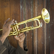 A musician plays the trumpet